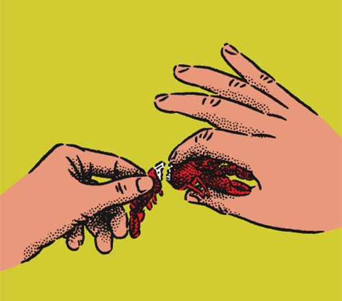 An illustration of hands removing a crawfish head