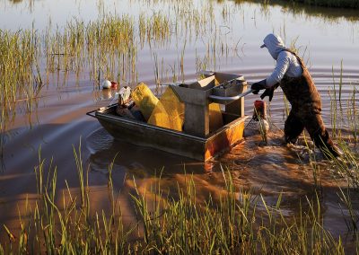 The Texas Rice Farmers Wading Into Crawfish Territory