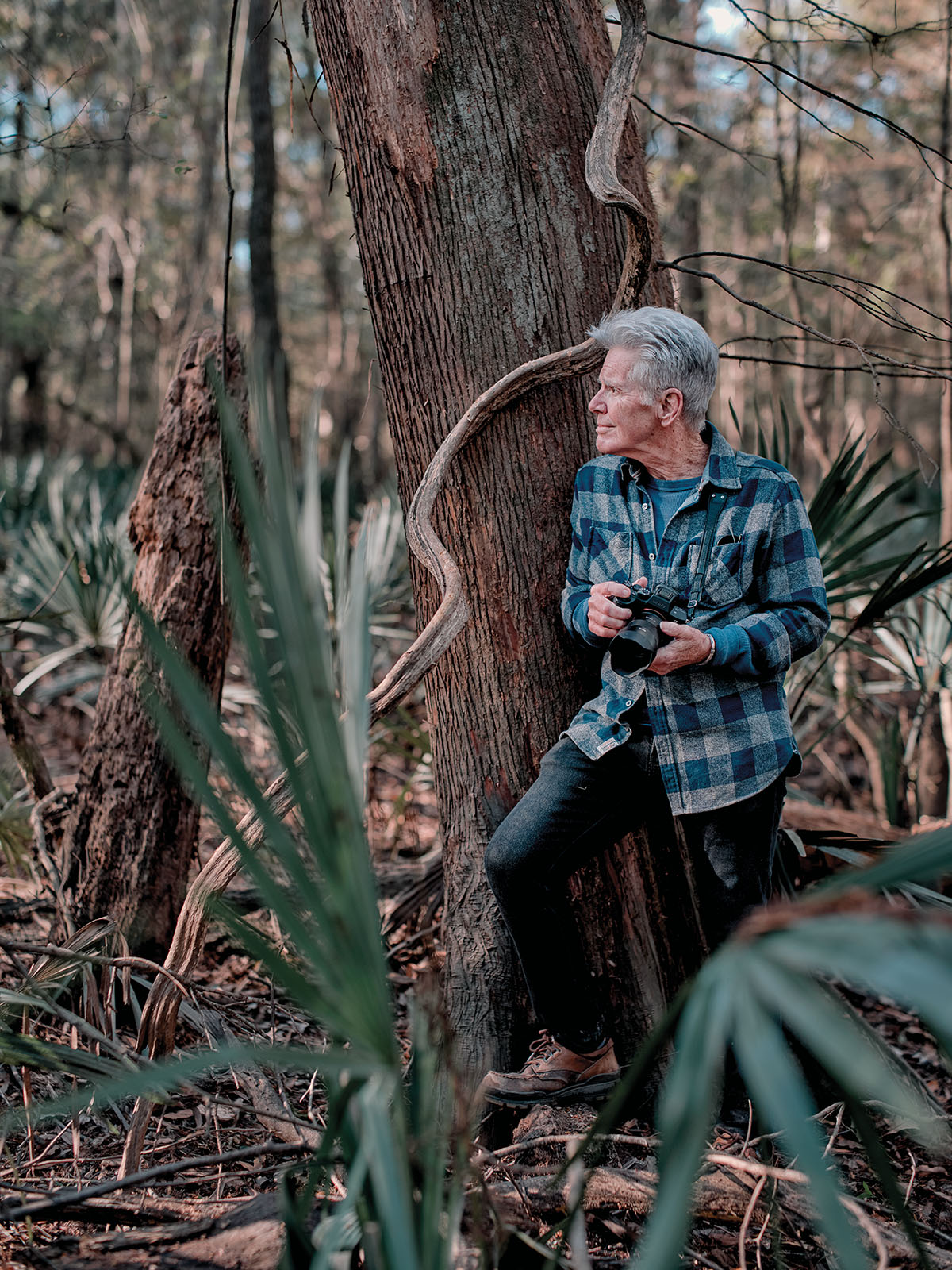 A man stands with a camera next to a tall tree and palmettos in a forest setting