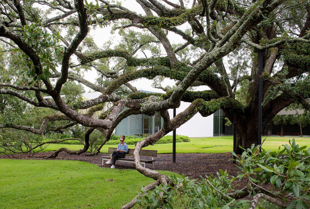 Revisiting Montrose, Houston’s Evolving Urban Paradise