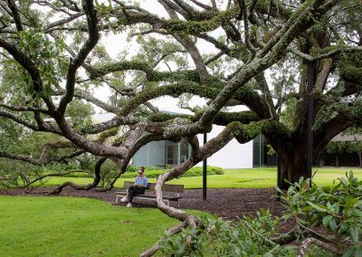 Revisiting Montrose, Houston’s Evolving Urban Paradise