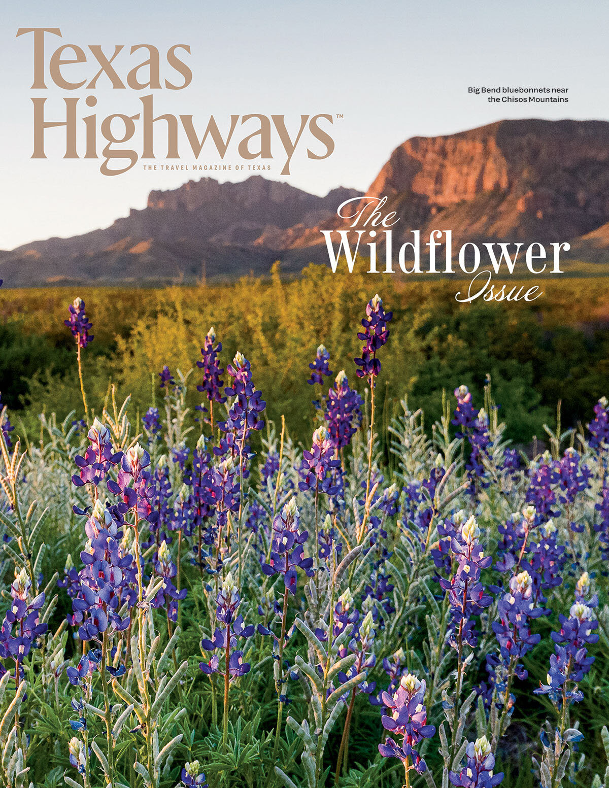 texas-highways-cover-april-2025 The April 2025 issue of Texas Highways features a field of bluebonnets on the cover