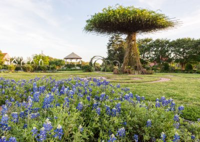 There’s More to Brenham Than Blue Bell
