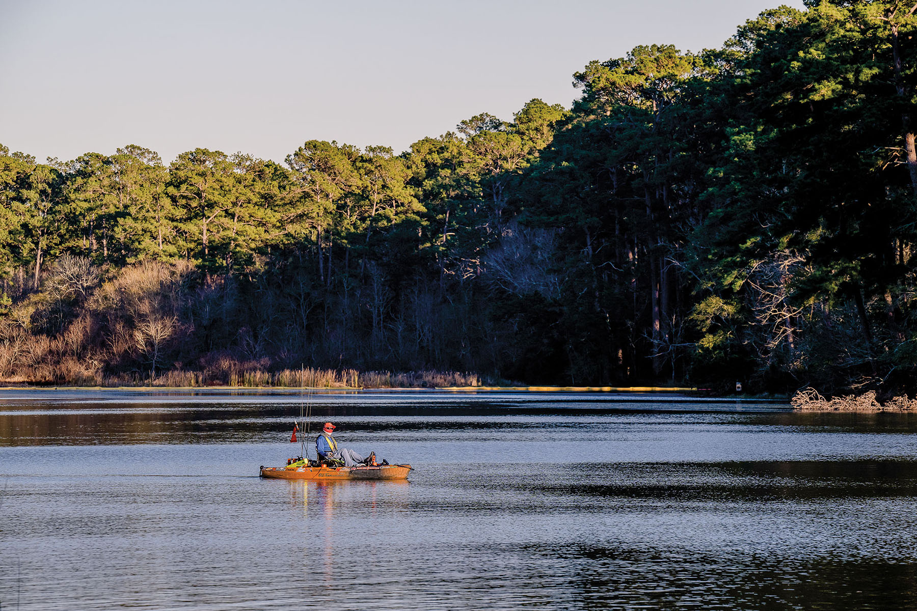 A person paddles a kayak in blue water next to tall green trees