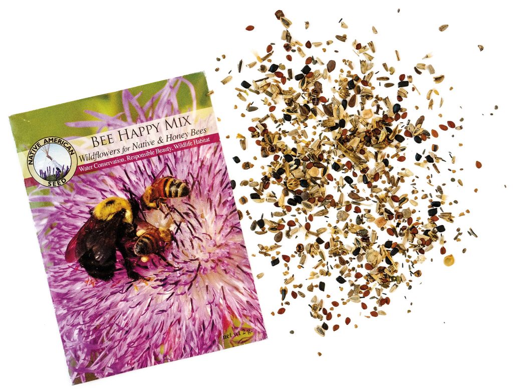 Texas Wildflower Seeds Are the Gift That Keeps on Giving