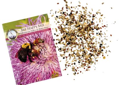 Texas Wildflower Seeds Are the Gift That Keeps on Giving