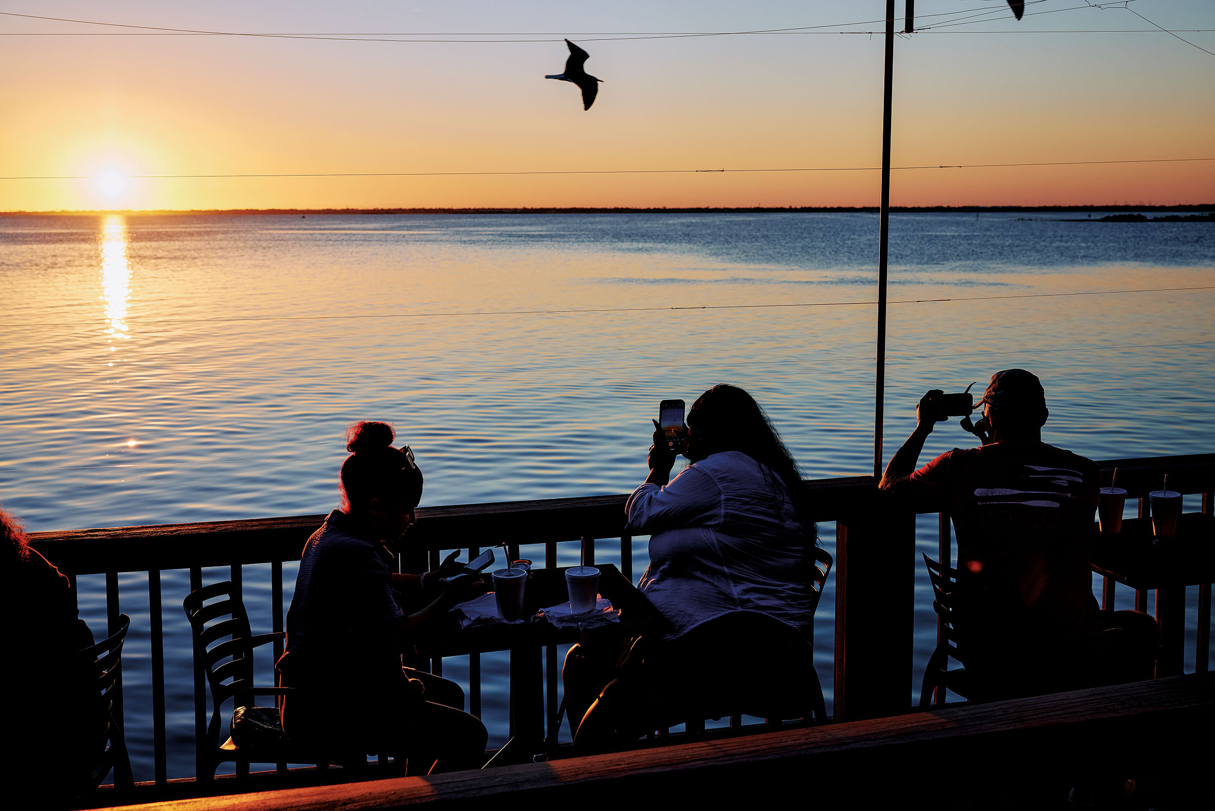 Two people take pictures of a sunset using their phones. They are sitting with a third person on a wooden dock; a bird flies by overhead