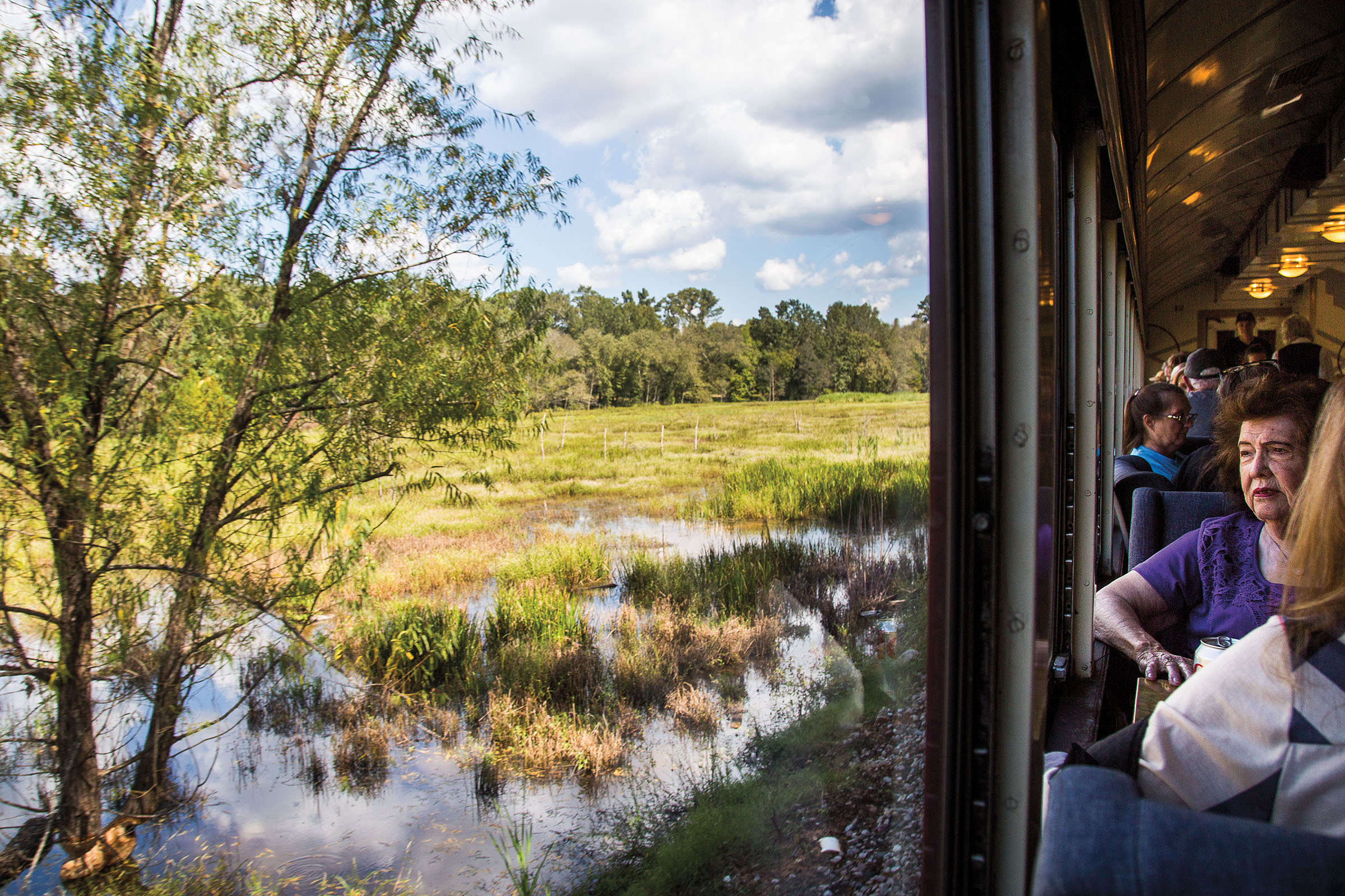 A person looks out the window of a train as it passes through a green landscape with numerous trees