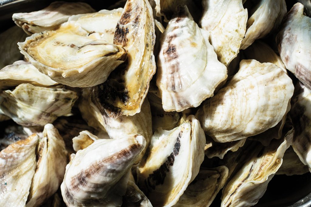 Gulf Coast Oysters Are Making Waves in Texas Restaurants