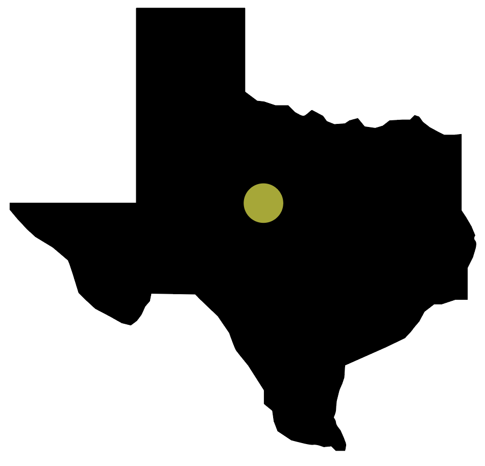 A map of Texas with a dot showing Albany