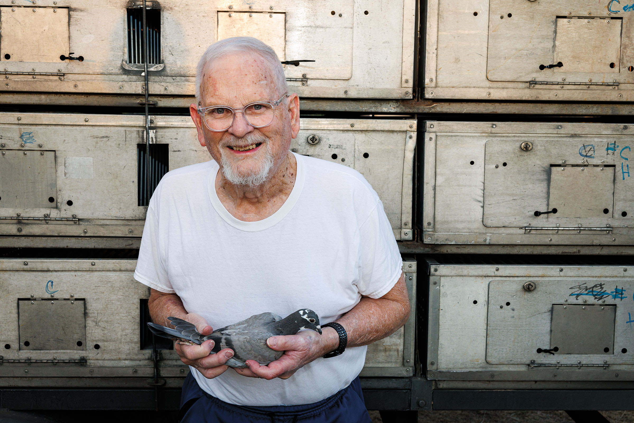 A man in a white t-shirt holds a gray pigeon in front of a stack of plastic boxes