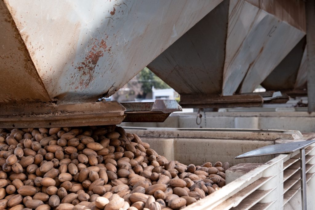 Pecana Milk Reimagines Texas’ State Nut