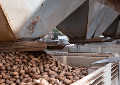 Pecana Milk Reimagines Texas’ State Nut