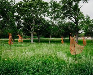 Five sculptures, resembling dancing human forms made of red wires, are placed several feet from each other in a grassy area with tall leafy green trees in background.