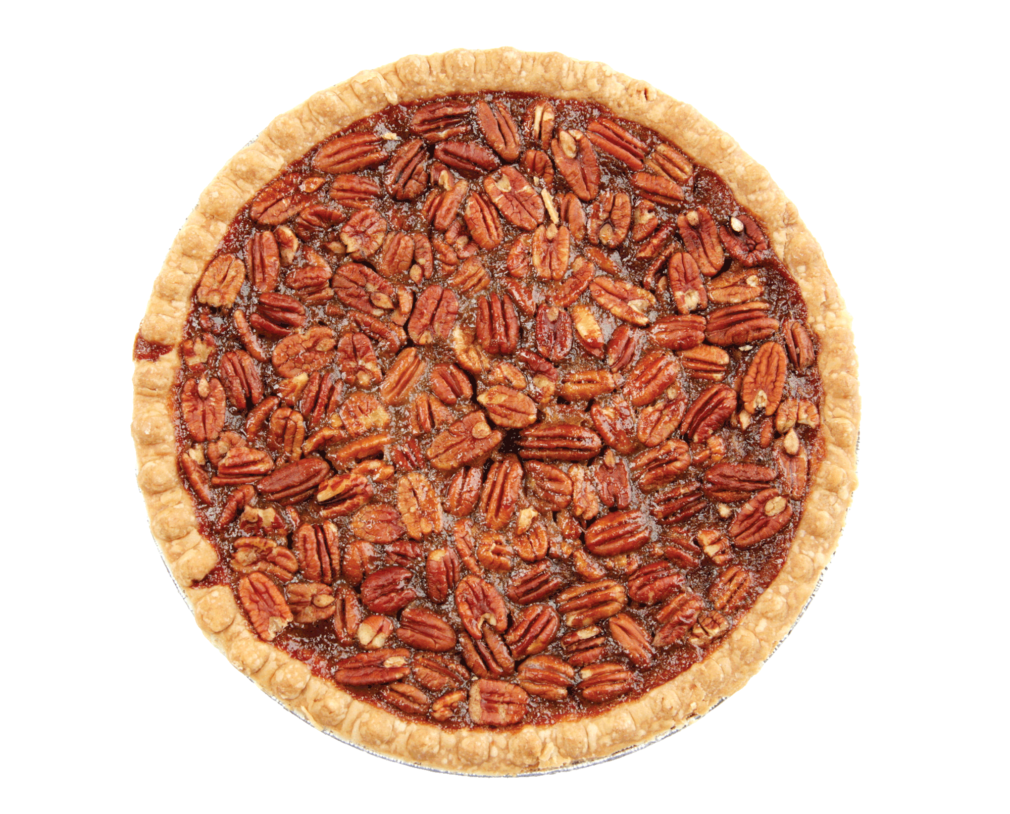 SVG Image