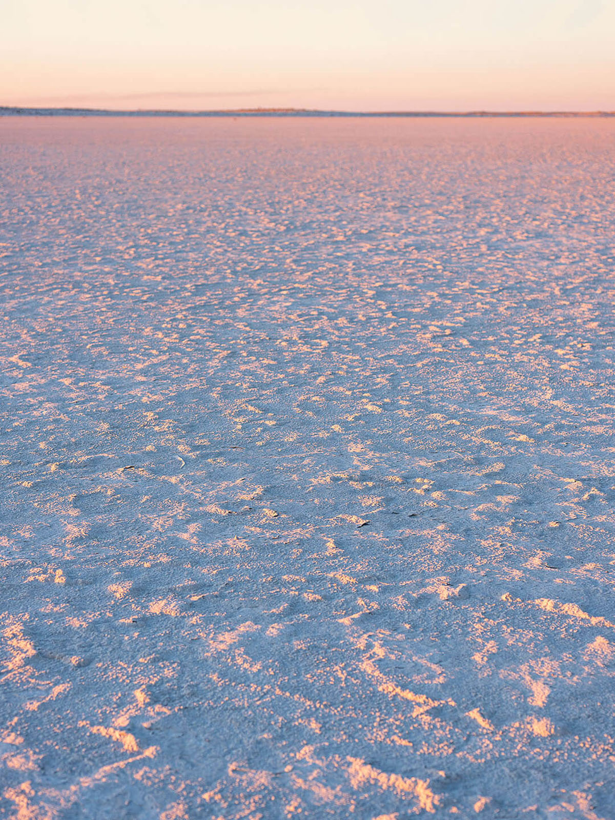 The flat sand dune is purple-blue in the forefront and tinged pink by the sunset as it travels toward the horizon.