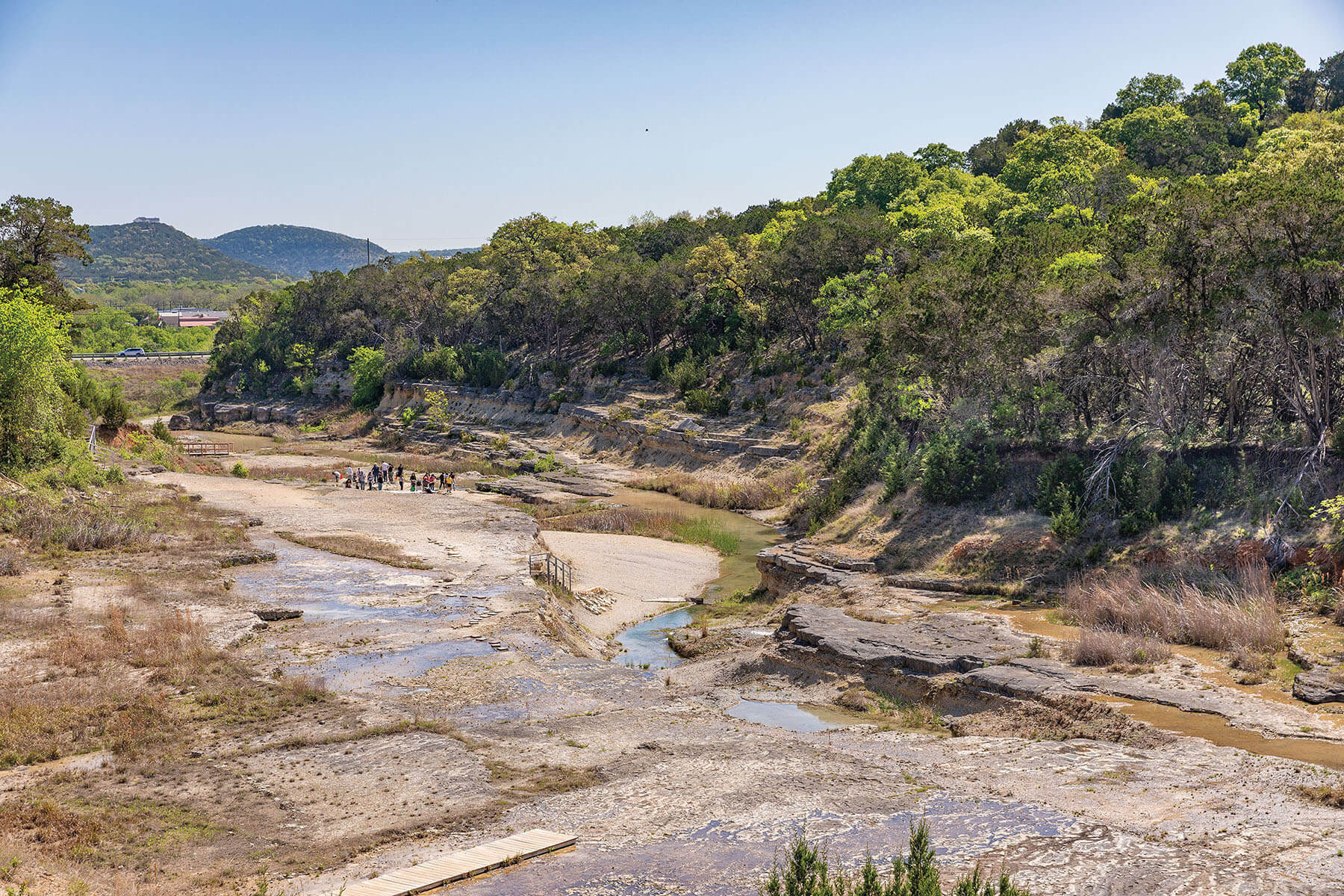 A group of people walk in a riverbed beneath a tall expanse of green trees under blue sky