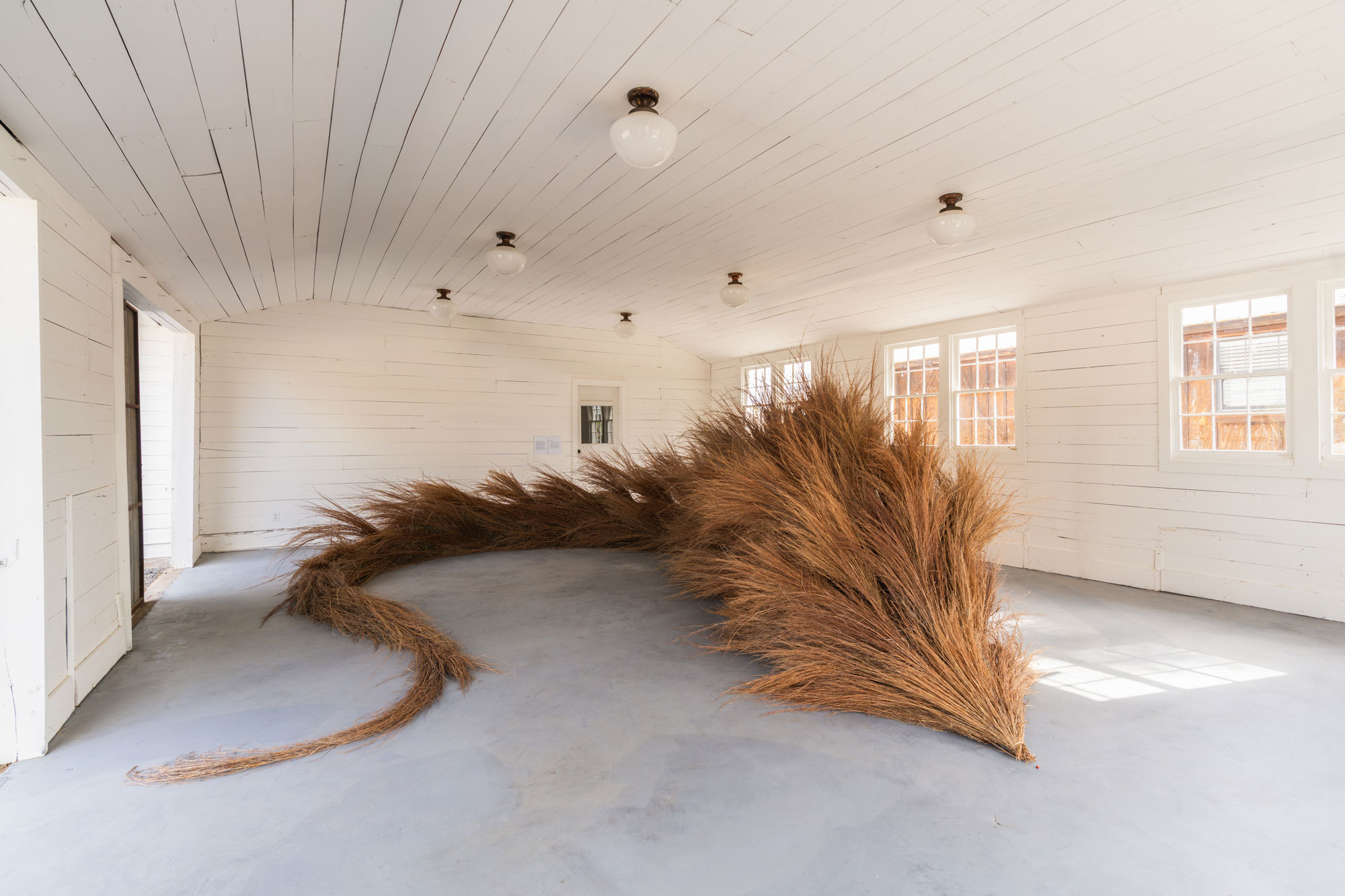 A large, winding arrangement of hay, sticks, and seed sit in the center of a large white shiplap room filled with sunlight.