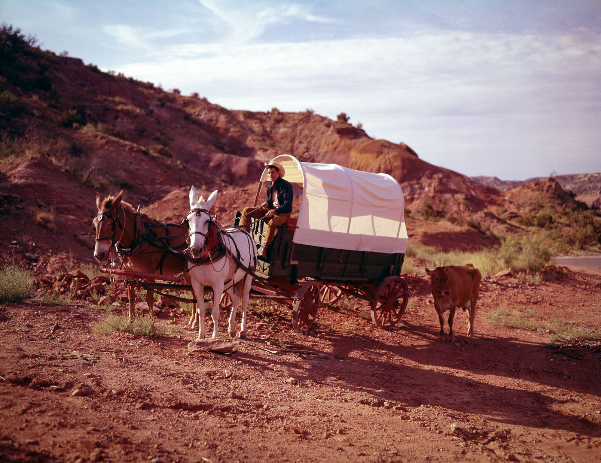 A white and a brown horses pull a caravan wagon that a man in western clothing sits on amid a burnt orange and brown rock landscape