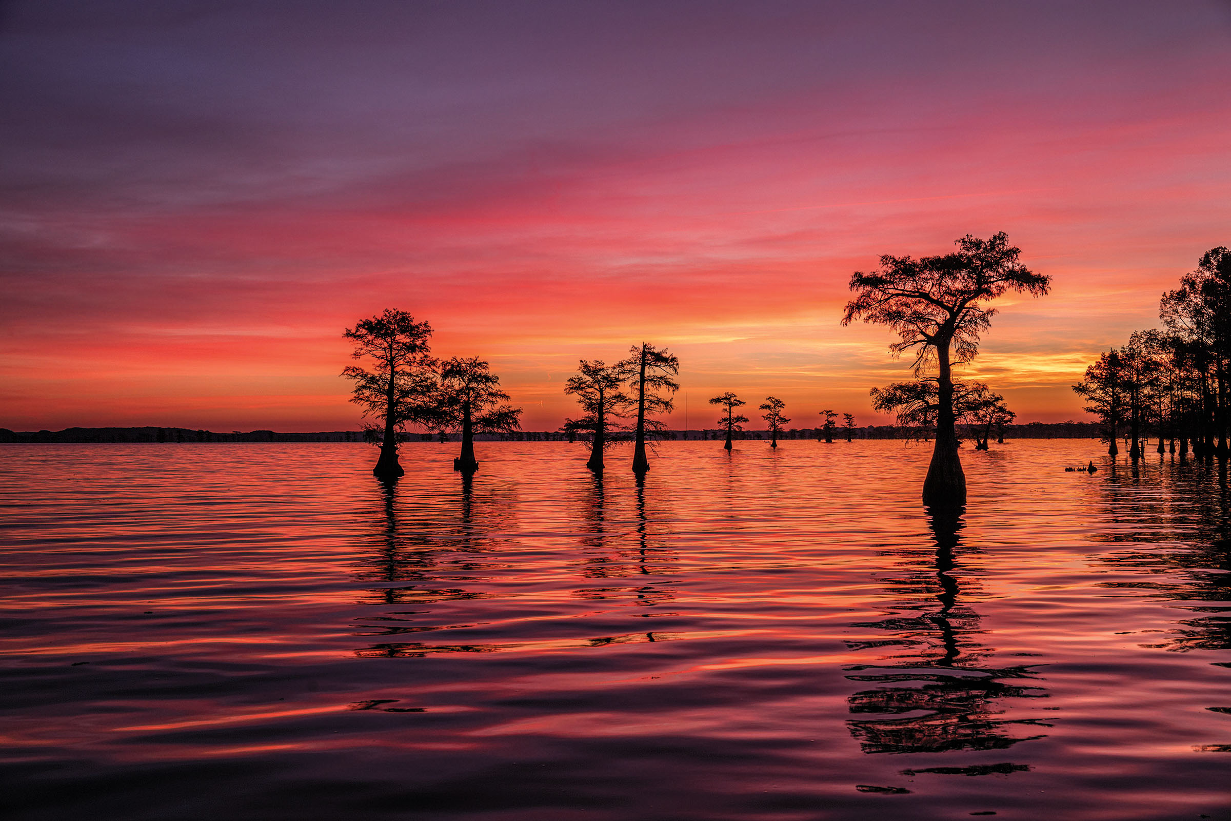 An image of a lake underneath a purple, pink, and red sky at sunset. Silhouettes of trees dot the horizon