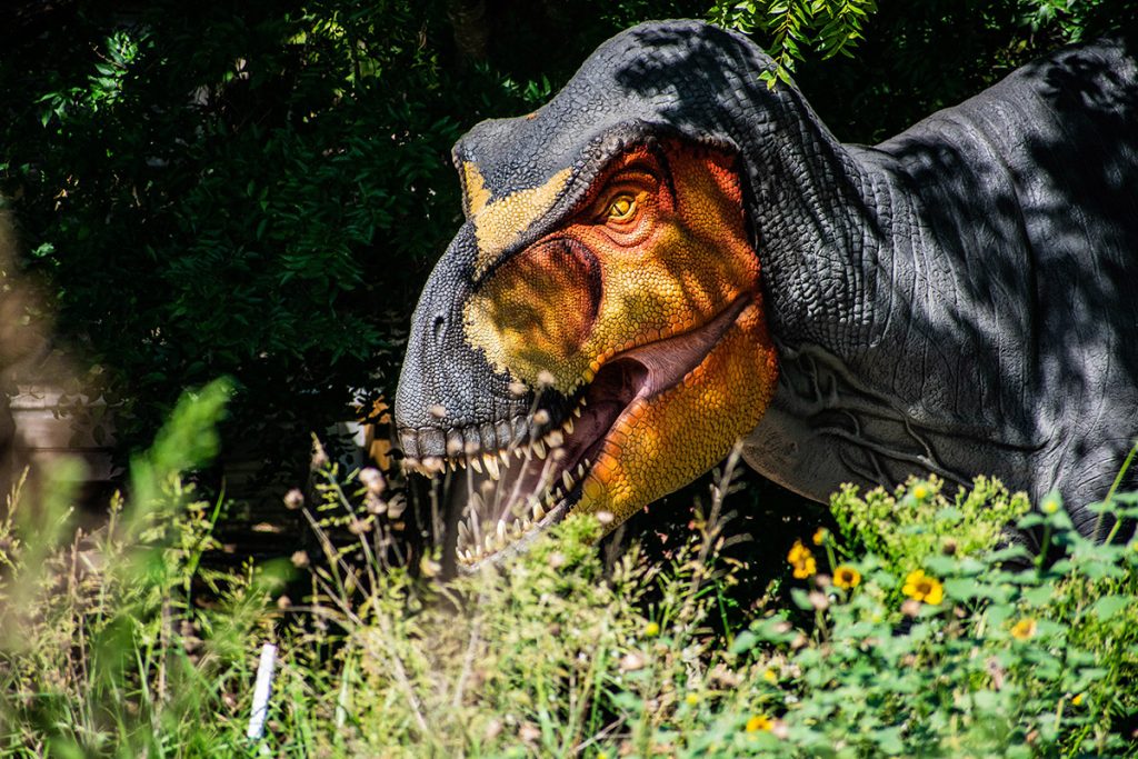 The Allen Company That Brings Prehistoric Creatures to Life