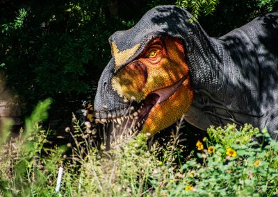 The Allen Company That Brings Prehistoric Creatures to Life