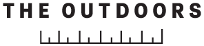 SVG Image