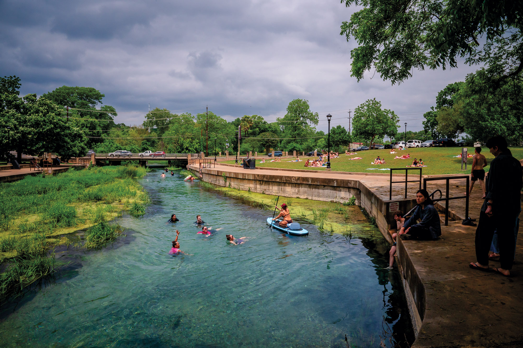 People swim in a blue spring in an expanse of greenery