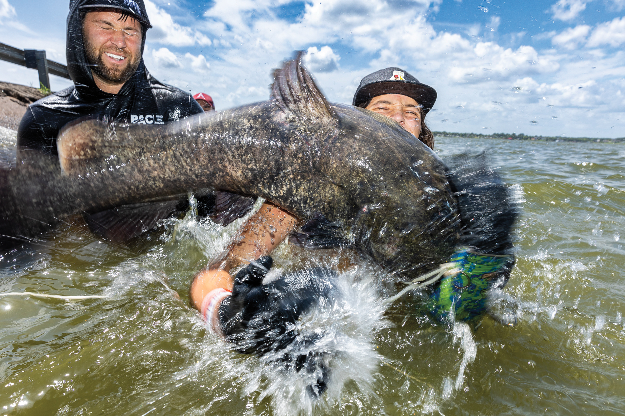 Two men wrangle a large catfish in a river