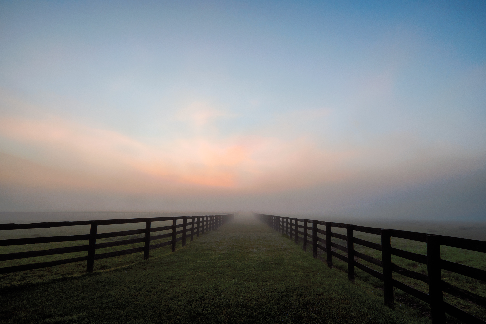 A misty landscape featuring a grassy path lined by a wooden fence