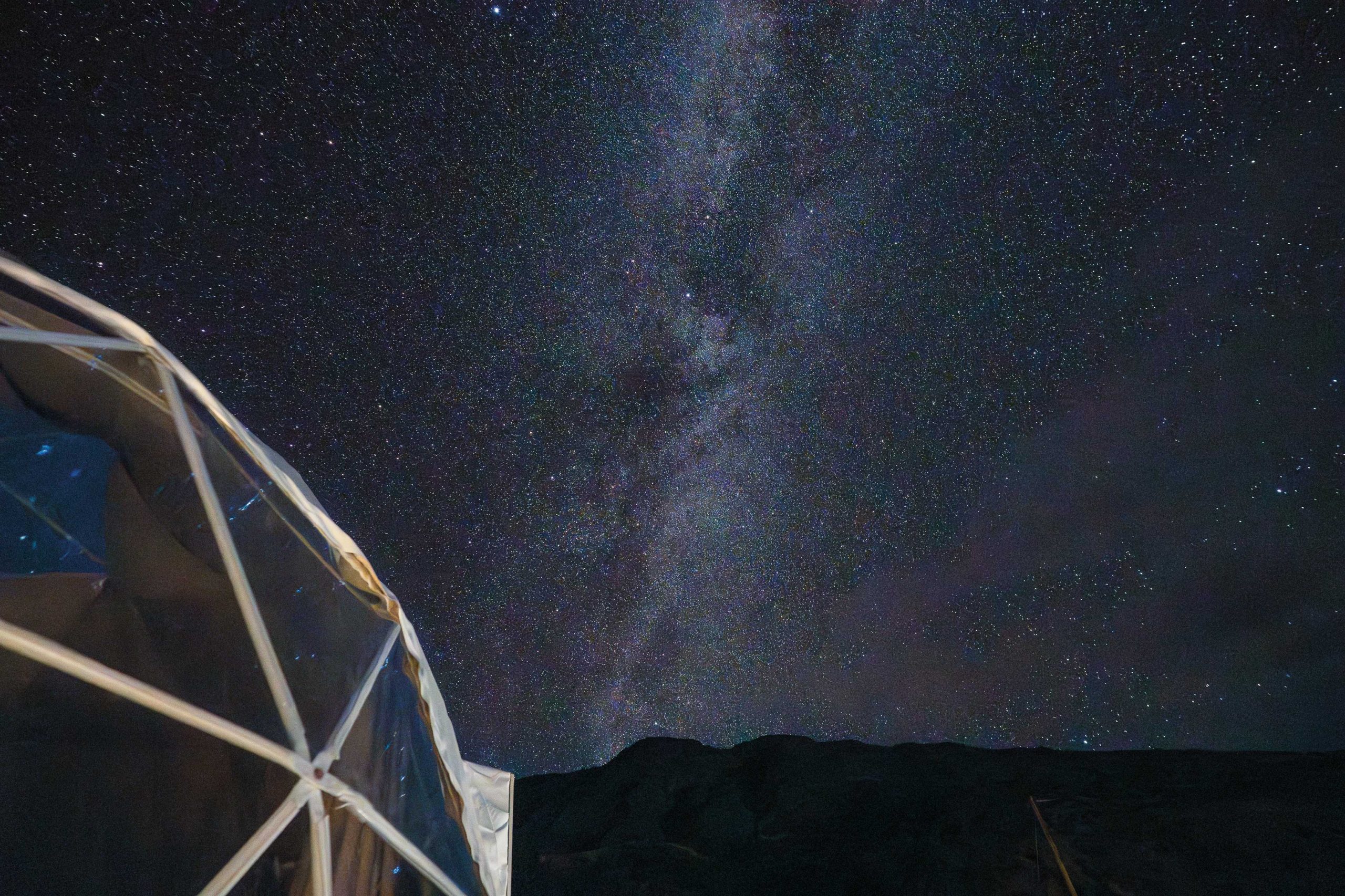 A dark sky is spotted with bright stars.