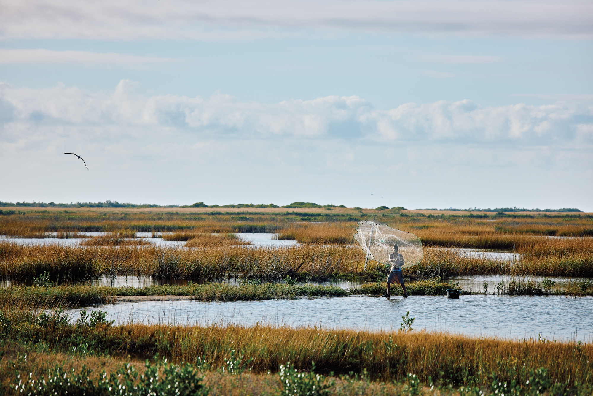 A man stands in a marshy landscape waving a net