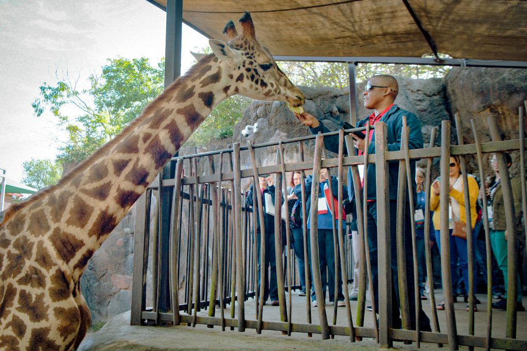 Can’t Hit the Road? These Texas Livestreams Have You Covered