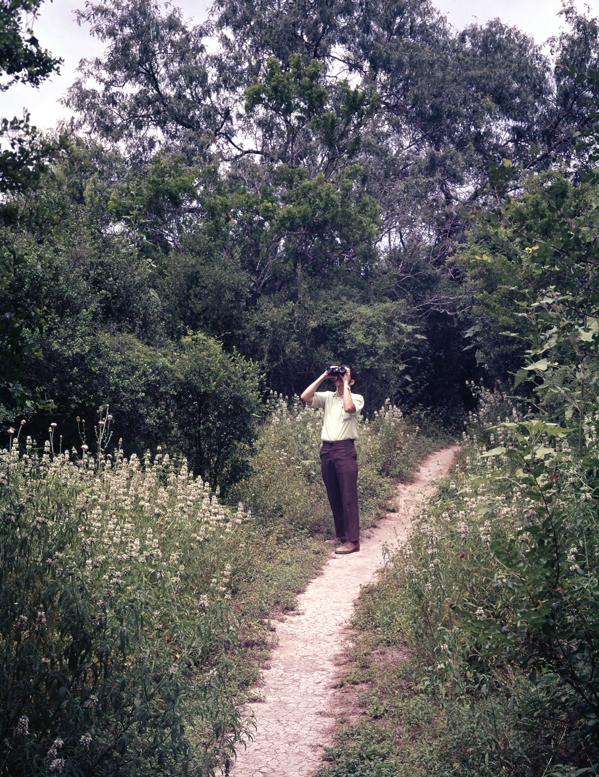 A vintage photo of a man in slacks holding binoculars and looking toward the sky surrounded by a forest