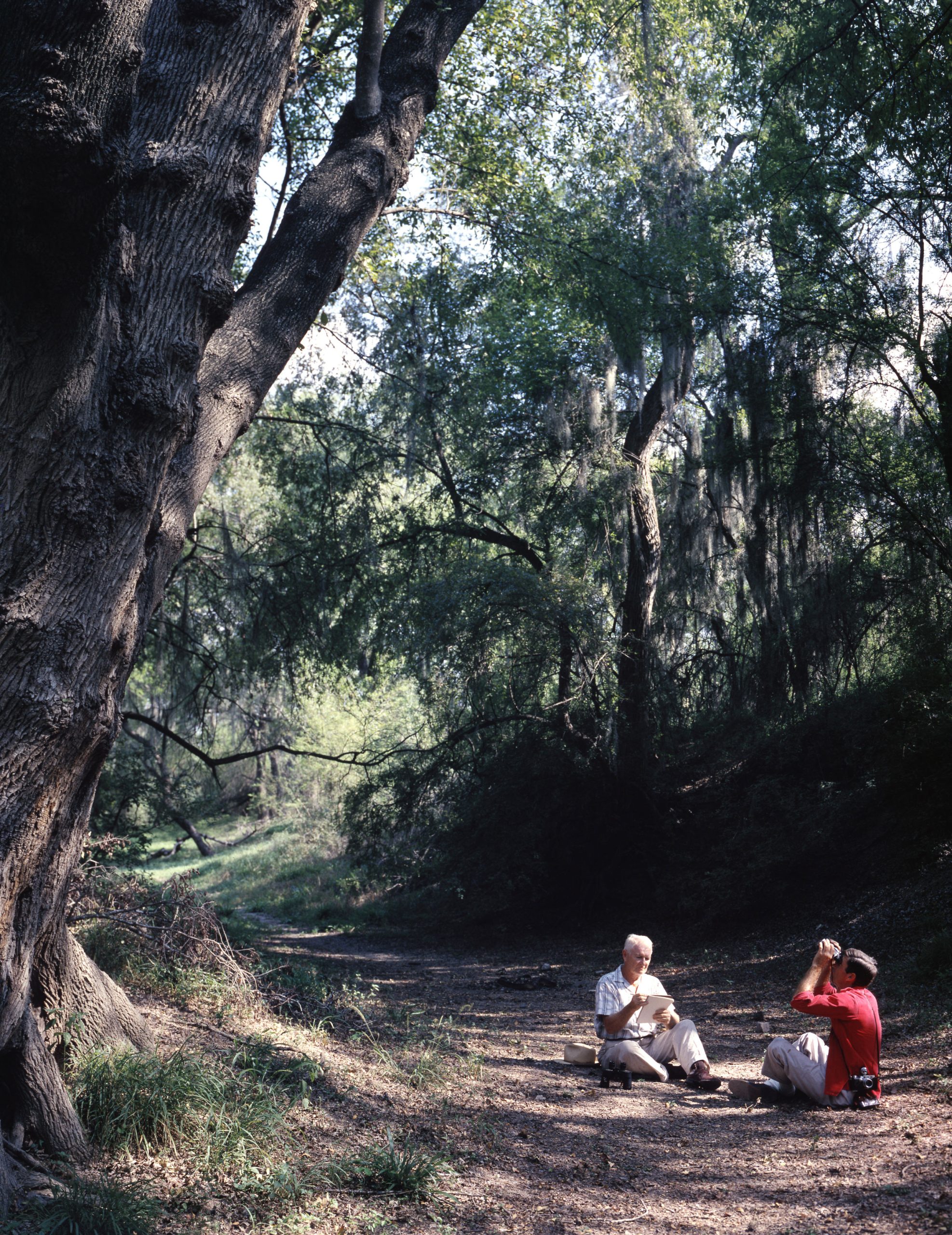Two men sit on the ground under a canopy in a forest while looking up and holding binoculars