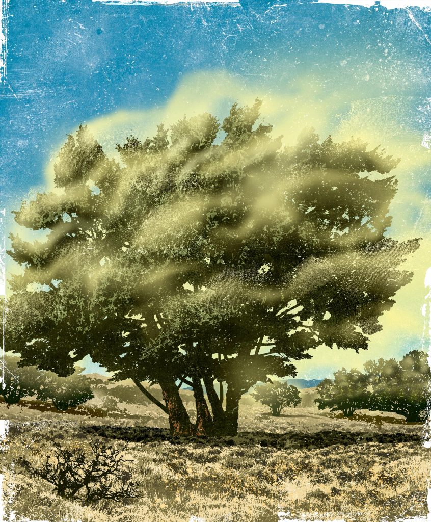 A faded illustration of a tree with green leaves colored in a haze of yellow pollen in a field