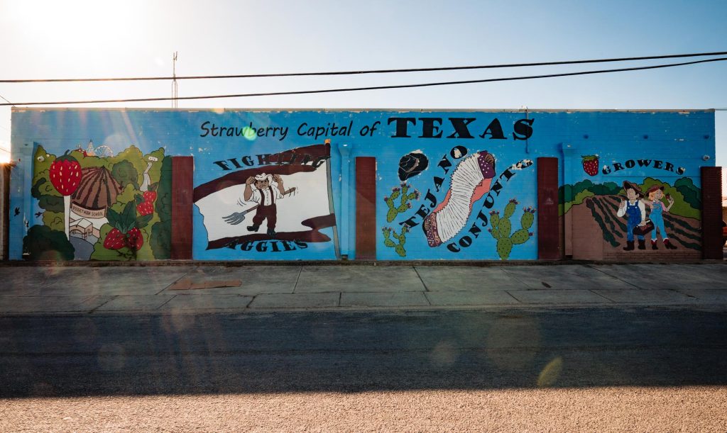 A blue building reading Strawberry Capital of Texas with four murals, including strawberries next to Poteet High School, a maroon and white Fighting Aggies flag, cacti and an accordion with the text Tejano Cunjunto, and two farmers in overalls with the text Growers
