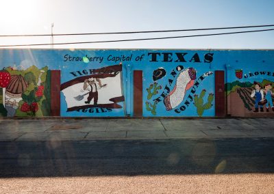 A Berry Sweet Spring Getaway in Poteet