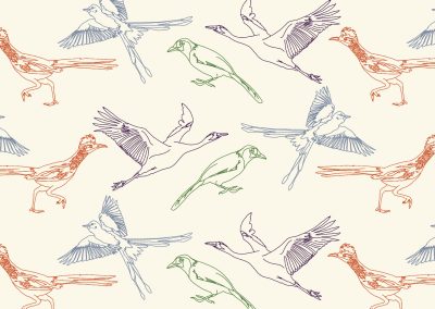 A Texan’s Guide to Birding