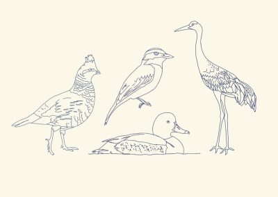 Winter Is the Unsung Season of Birding in Texas