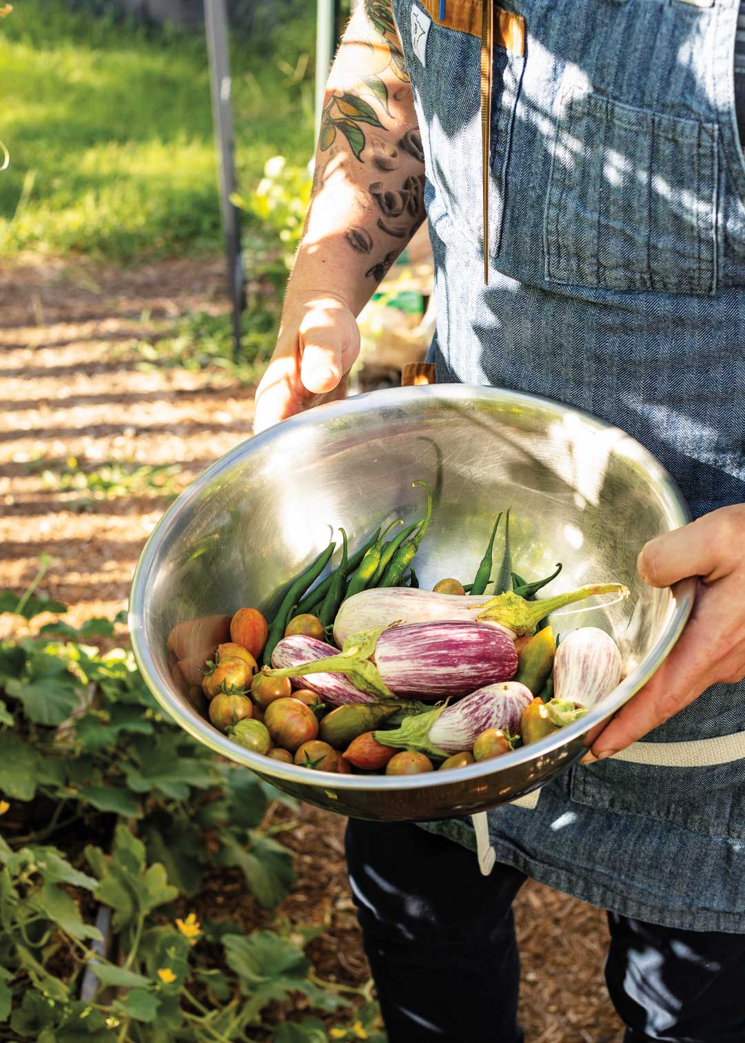 A man in blue overalls holding a large metal bowl filled with eggplant, tomatoes, and greens in a garden.