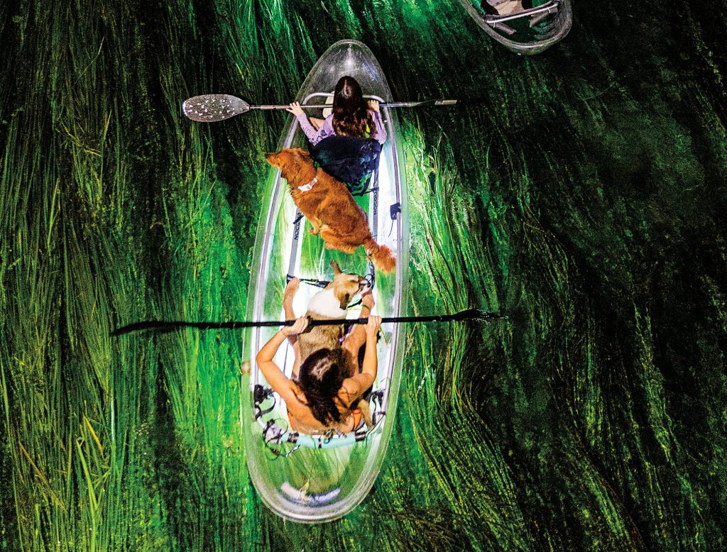 Two people and a dog sit on a transparent kayak that is underlit, illumiinating grassy waters.