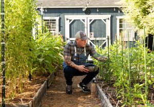 A man in blue overalls and a Detroit Tigers trucker cap squats in a garden while holding a metal bowl