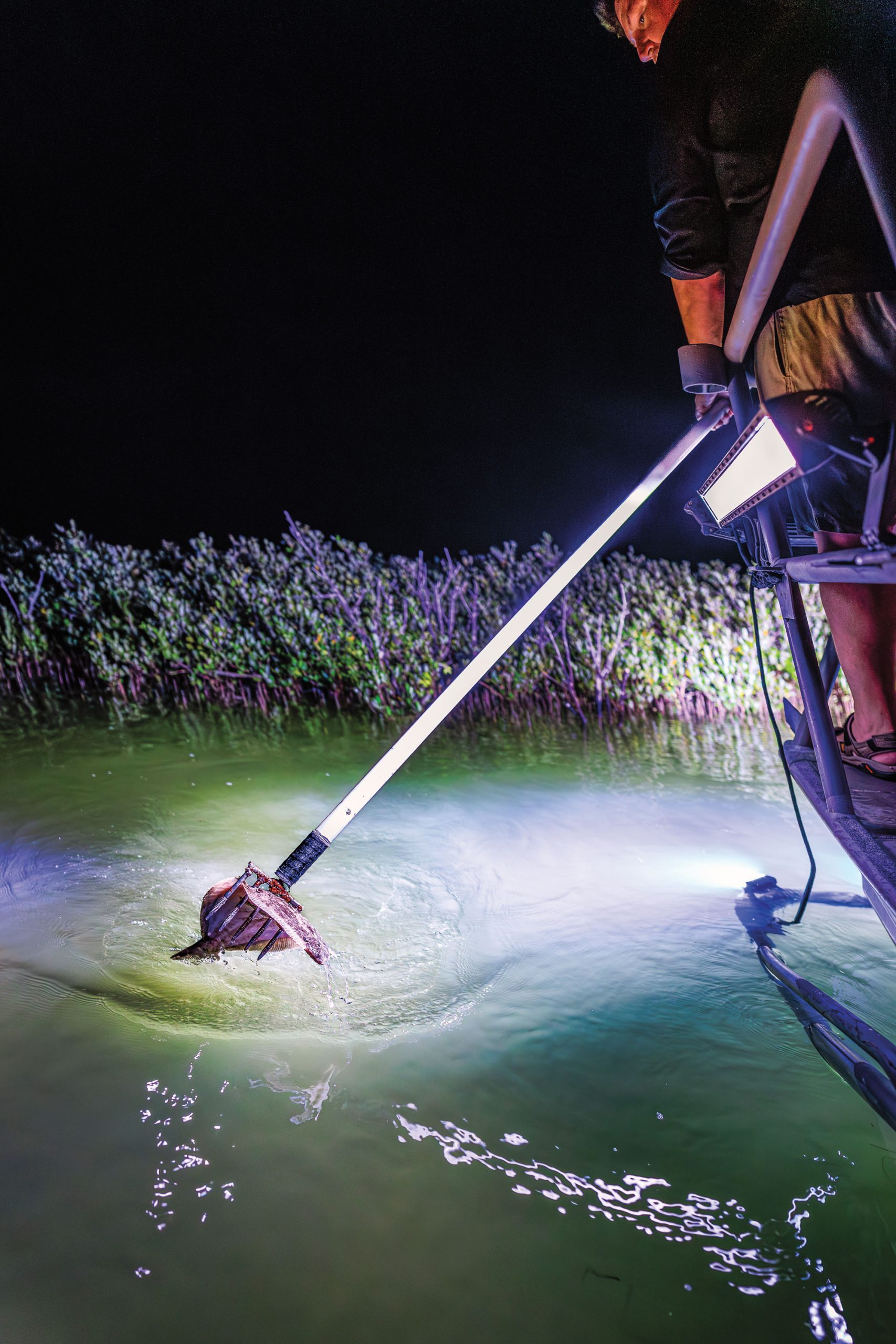A man spears a fish in the water