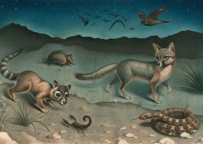 Seven Texas Critters to Look Out for at Night