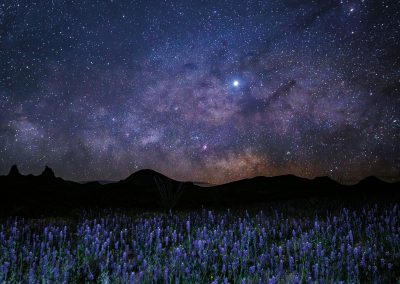 Embark on a Nighttime Outdoor Adventure