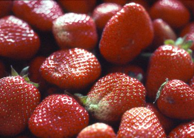 Grab a Slice of Pasadena’s 10,000-Pound Strawberry Shortcake