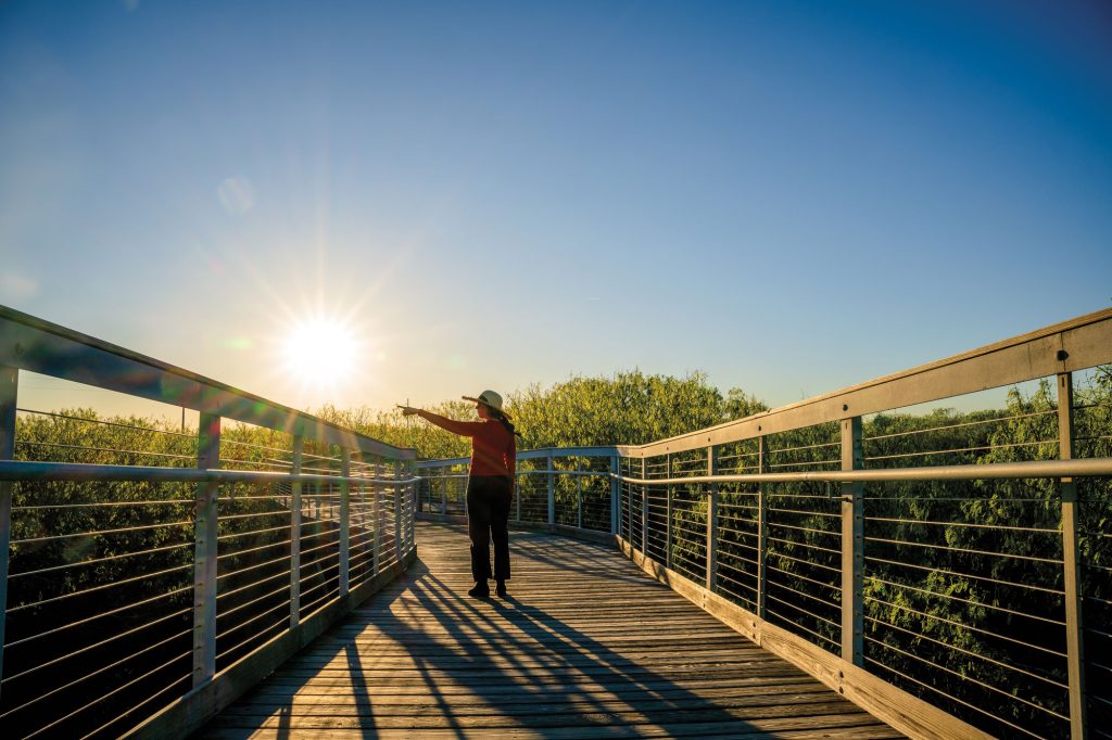 A person standing and pointing on a wooden bridge with the sun low on the horizon