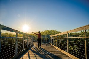A person standing and pointing on a wooden bridge with the sun low on the horizon