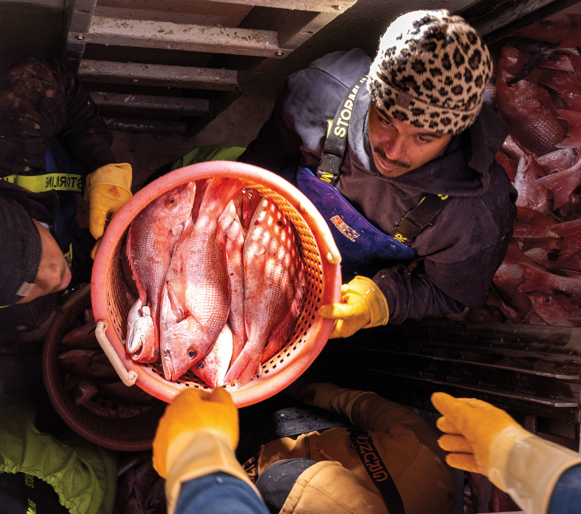 A man in a leopard-print beanie and blue hoodie holds a basket filled with recently caught fish